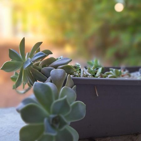 דירות T2 De 45 M2 Sur Porticcio Avec Jardin מראה חיצוני תמונה